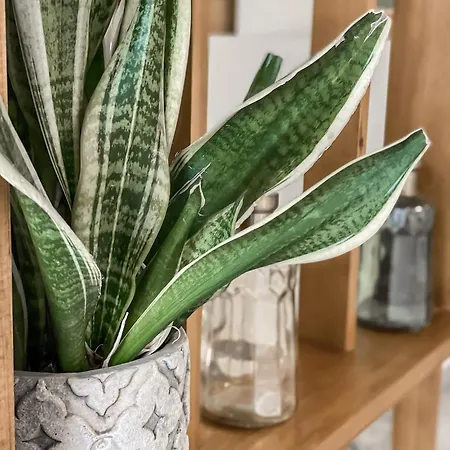 Hypnos Boutique (adults Only) מלון ניקוסיה