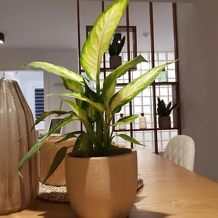 Hypnos Boutique (adults Only) 3* Lefkoşa