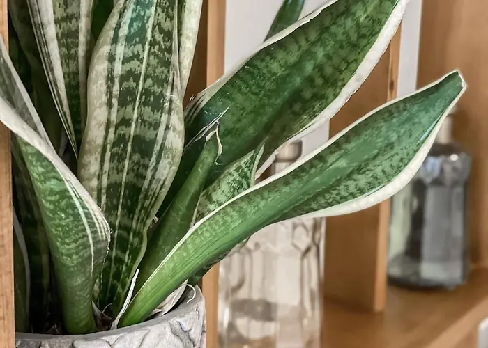 Hypnos Boutique (adults Only) Hotel Nikósie