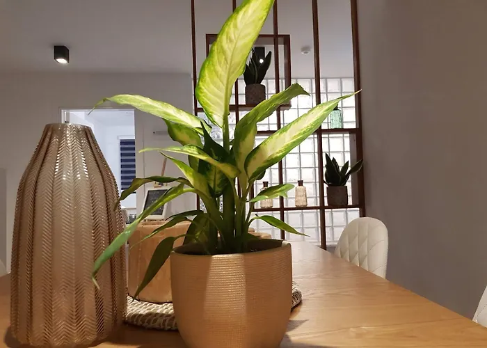 Hypnos Boutique (adults Only) 3* Nikósie